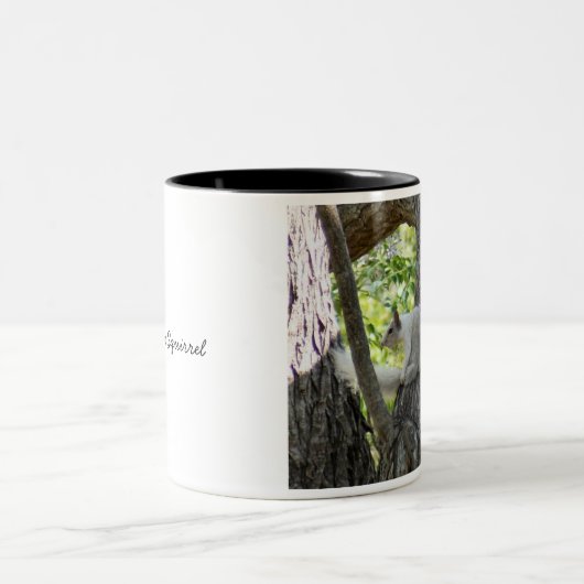 Mok Albino Squirrel (Center)