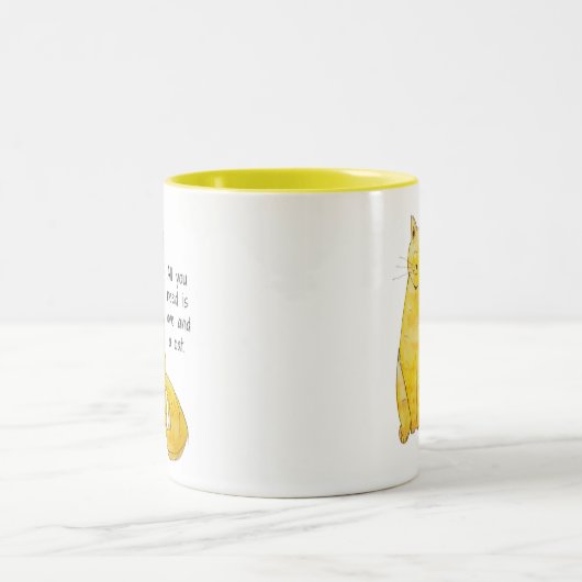 Mok - Alles wat je nodig hebt is liefde en een kat (Center)