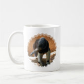 Mok Anteater Coffee (Links)