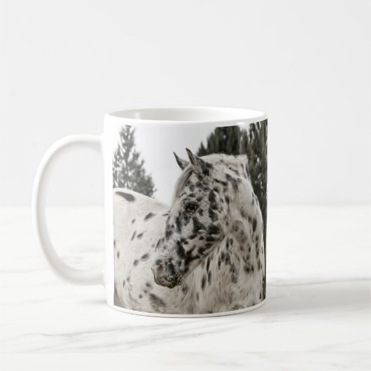 Mok Appaloosa Horse (Links)
