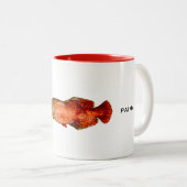 Mok Arapaima | Mok vis (Voorkant rechts)