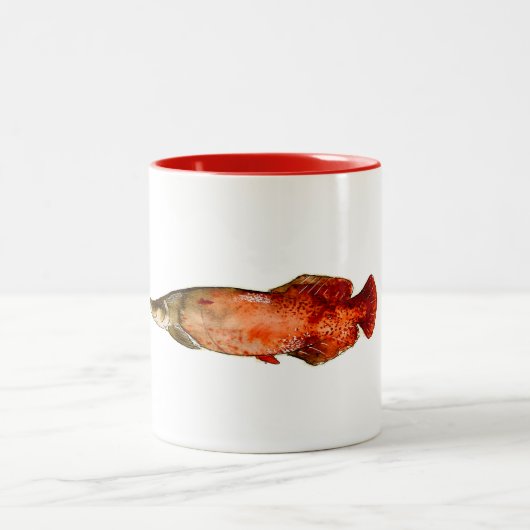 Mok Arapaima | Mok vis (Center)