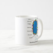 Mok Bacteria (Voorkant rechts)