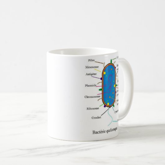 Mok Bacteria (Voorkant rechts)