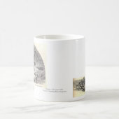  Mok Barnegat Light House (Center)