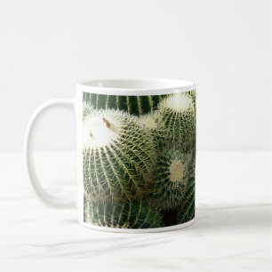Mok Barrel Cactus