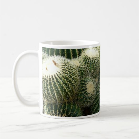 Mok Barrel Cactus (Links)