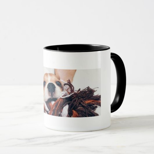 MOK BEAGLE (Voorkant rechts)