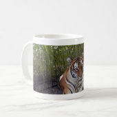 Mok Bengalen Tiger 003 (Voorkant links)