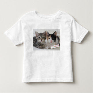 Mok Beste vrienden Kittens Kinder Shirts