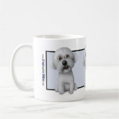 Mok Bichon Frise (Links)