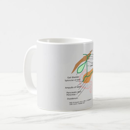 MOK Biliary System Diagram Gall Bladder (Voorkant links)