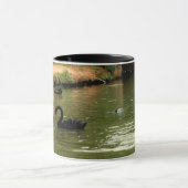 Mok Black Swan (Midden)