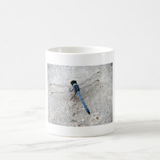 Mok blauwe dragonfly-koffie