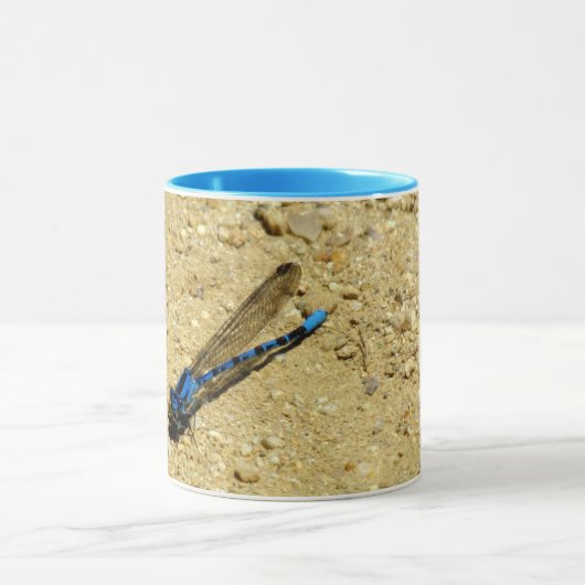 Mok - Blauwe dragonvlieg (Midden)