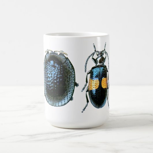 Mok blauwe en gele keel (Center)