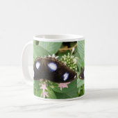 Mok blauwe gepotte vlinder (Voorkant links)