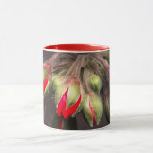 Mok bloeit rood en donker (Midden)