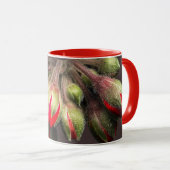 Mok bloeit rood en donker (Voorkant rechts)