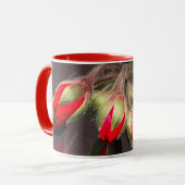 Mok bloeit rood en donker (Voorkant links)