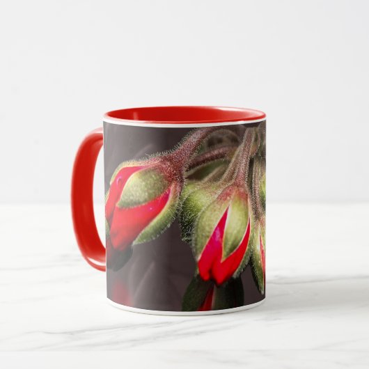 Mok bloeit rood en donker (Voorkant links)