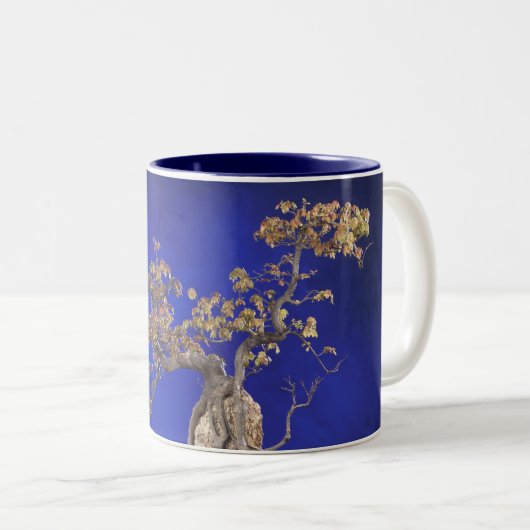 Mok / Bonsai Trident Maple (Voorkant rechts)