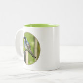 Mok boomschotel (Voorkant links)