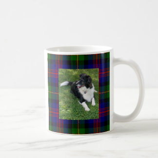 mok - Border Collie Tartan