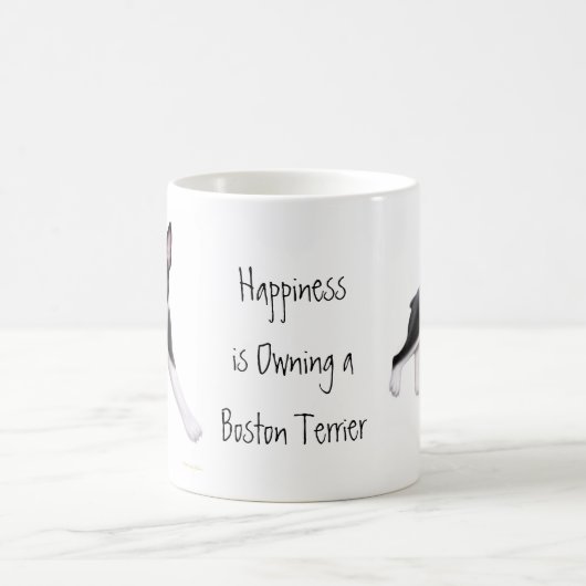 Mok Boston Terrier (Center)