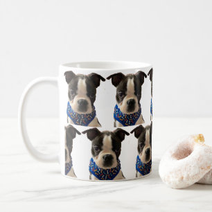 Mok Boston Terrier