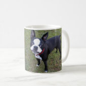 MOK BOSTON TERRIER COFFEE (Voorkant rechts)