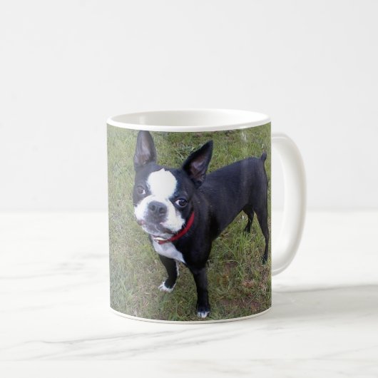 MOK BOSTON TERRIER COFFEE (Voorkant rechts)