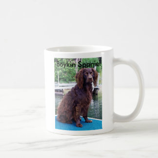 Mok Boykin Spaniel