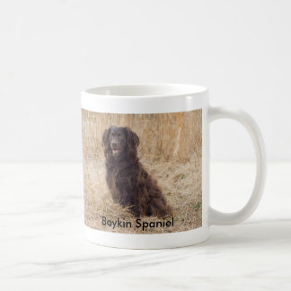Mok Boykin Spaniel