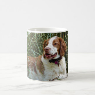 Mok Brittany Spaniel
