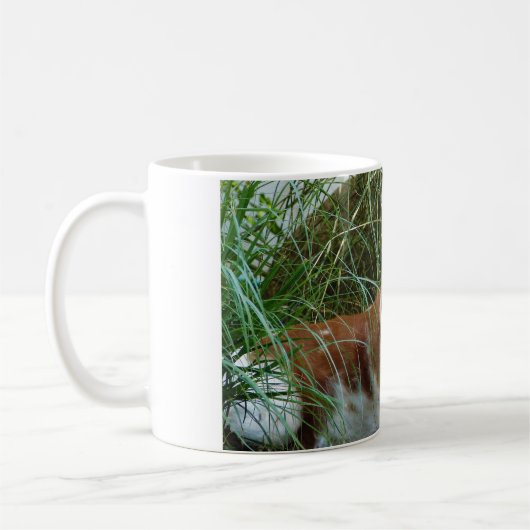 Mok Brittany Spaniel (Links)