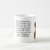 Mok Brittany Spaniel Dog (Center)