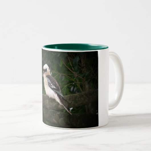 Mok Bunya Mountains Kookaburra (Voorkant rechts)