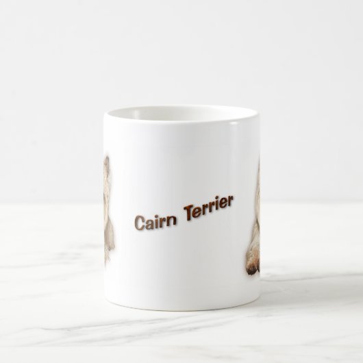 Mok Caïro Terrier (Center)