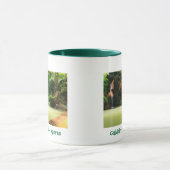 Mok Caldeira Velha - Azoren (Midden)