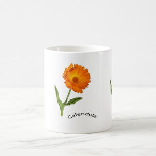 Mok - Calendula Flowers
