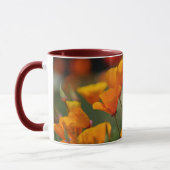 Mok Californië Poppy (Links)
