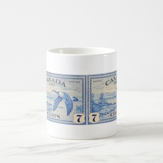 Mok Canada Goose (Center)