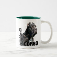 Mok Cane Corso