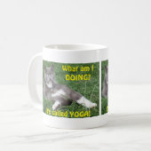 Mok Cat Yoga (Voorkant links)