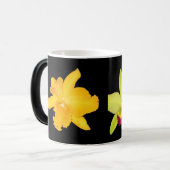 MOK, Cattyleyas, twee variëteiten Magische Mok (Voorkant links)