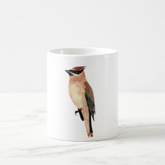 Mok Cedar Waxing