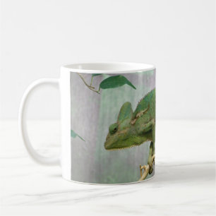 Mok Chameleon