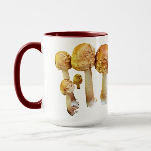 Mok champignon (Links)