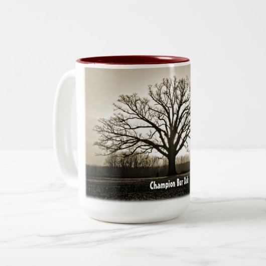 Mok Champion Bur Oak (Voorkant links)